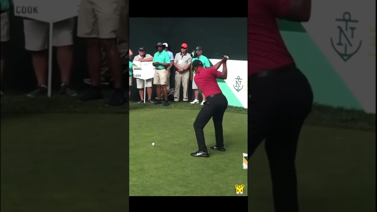 ​タイガーウッズ Tiger Woods