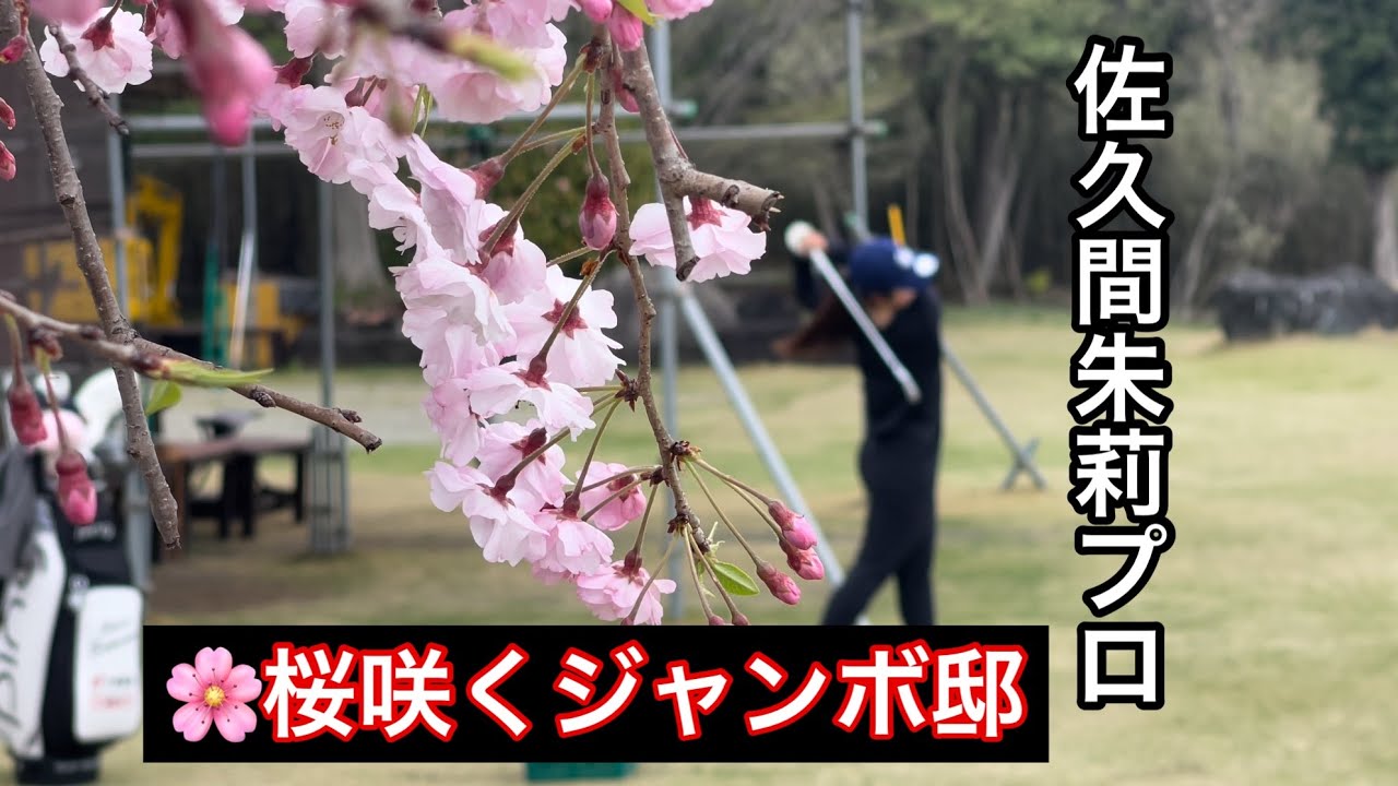 桜咲く🌸【ジャンボ邸練習場】佐久間朱莉プロ