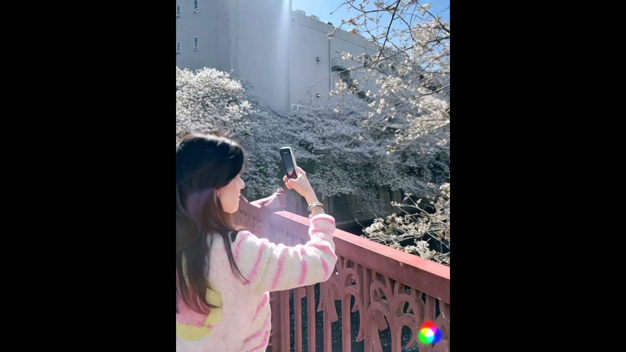 【アン・シネ】ほんのり桜色　お花見で目黒川に登場！