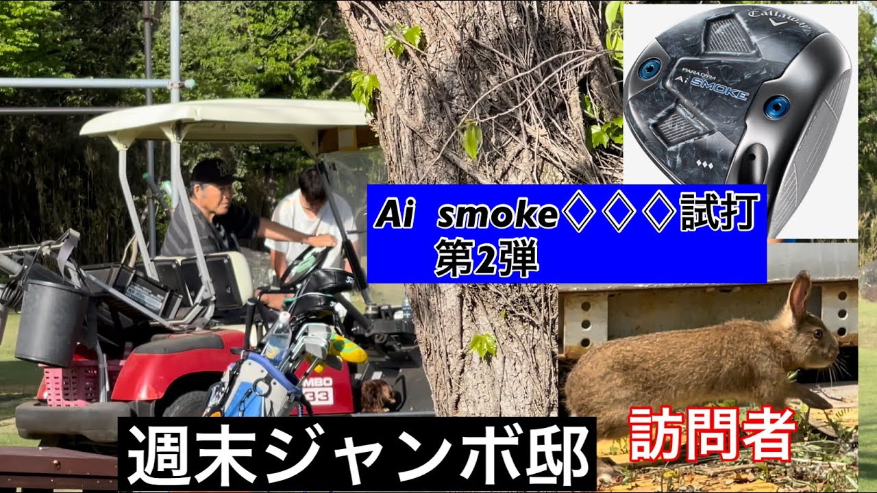 🐰うさぎ現る【週末ジャンボ邸】CallawayAi  smoke試打第2弾