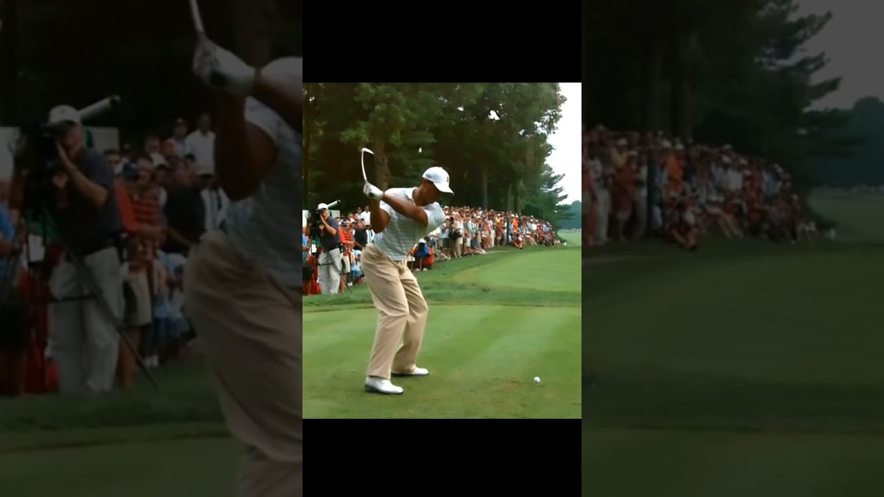 ​Tiger Woods ​タイガー・ウッズ