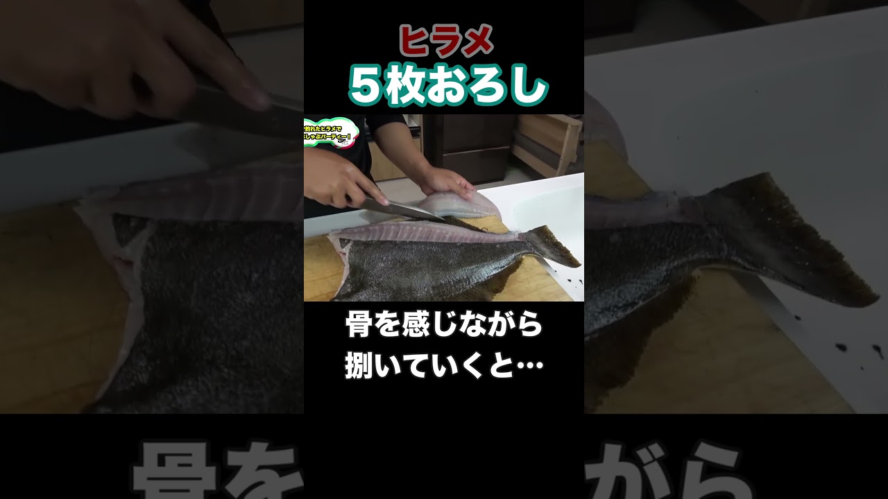 天然ヒラメを５枚おろしにしてみると… #shorts #釣りよかでしょう #釣りよか #釣り #fishing #魚捌き