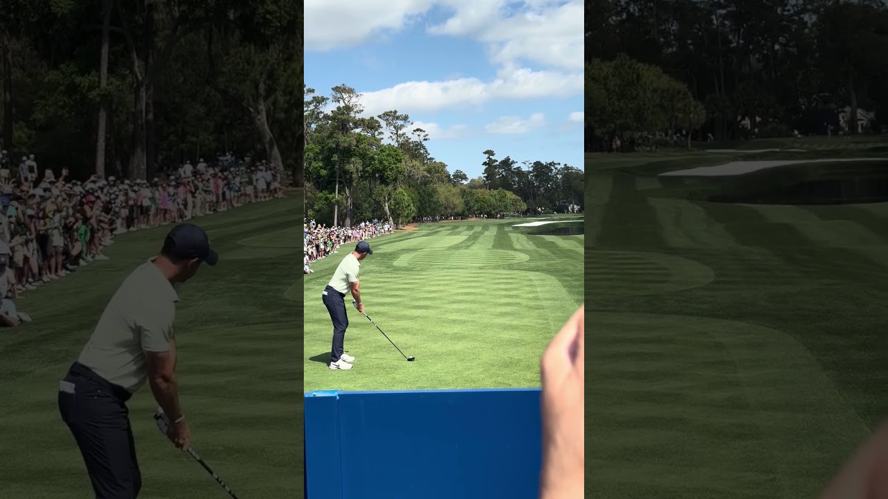 Rory Mcilroy. Wells Fargo Championship 2024 Prediction Winner. True Caddy