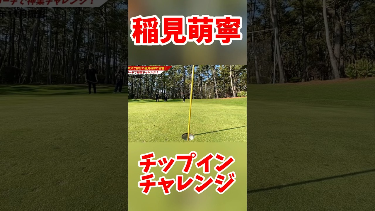#165 稲見萌寧チップインチャレンジ　#女子プロゴルフ #アプローチ