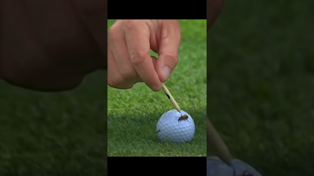 自然に戻って（マキロイ優しい）#golf #golfball