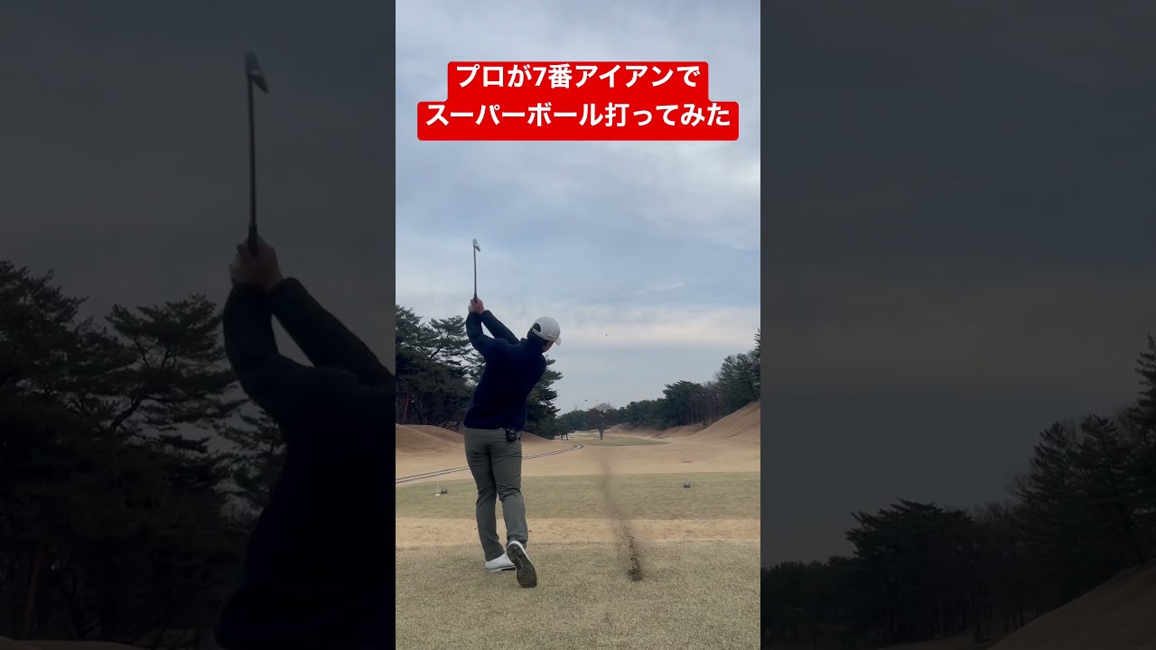 飛ぶor飛ばない、どっちなんだいアイアン