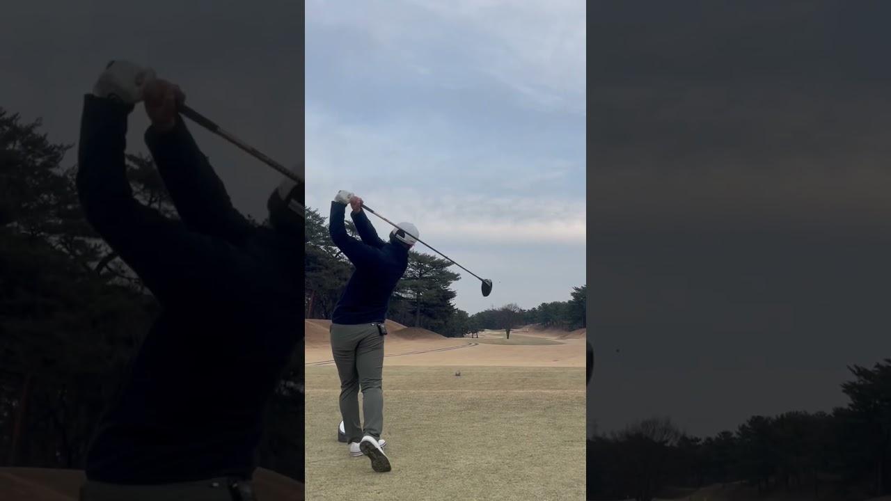 飛ぶor飛ばない、どっちなんだい！