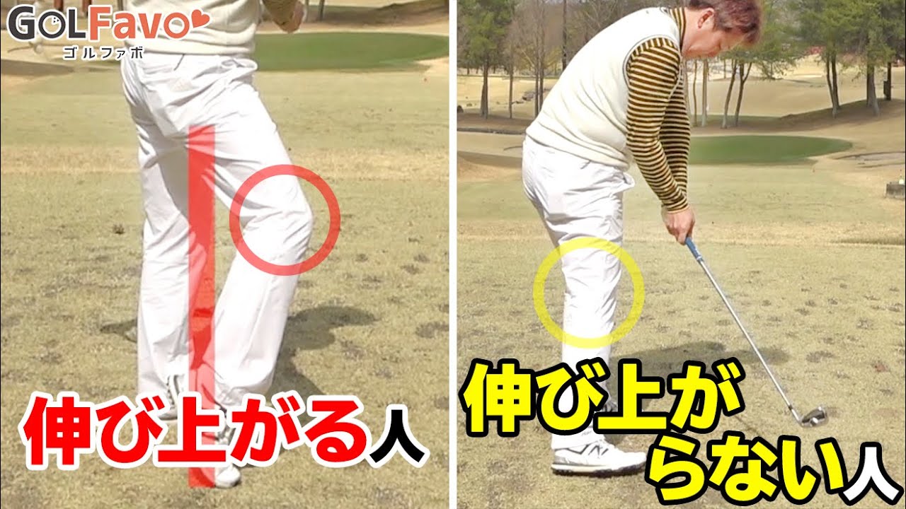 【伸び上がり】を防ぐ右足の使い方！ダウンスイングで右膝を左膝より低くするべき理由【ゴルファボ】【橋本よしのり】