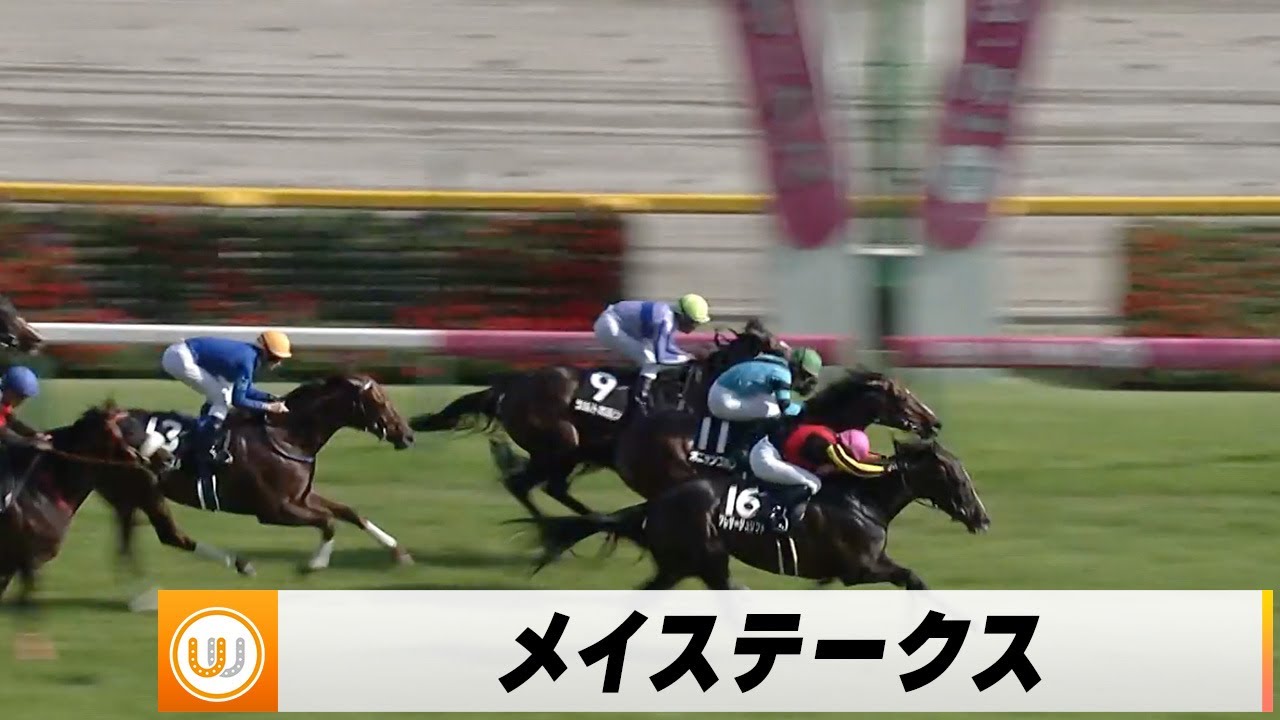 【2024】メイステークス 東京競馬場11R ｜ウイニング競馬 2024年5月18日