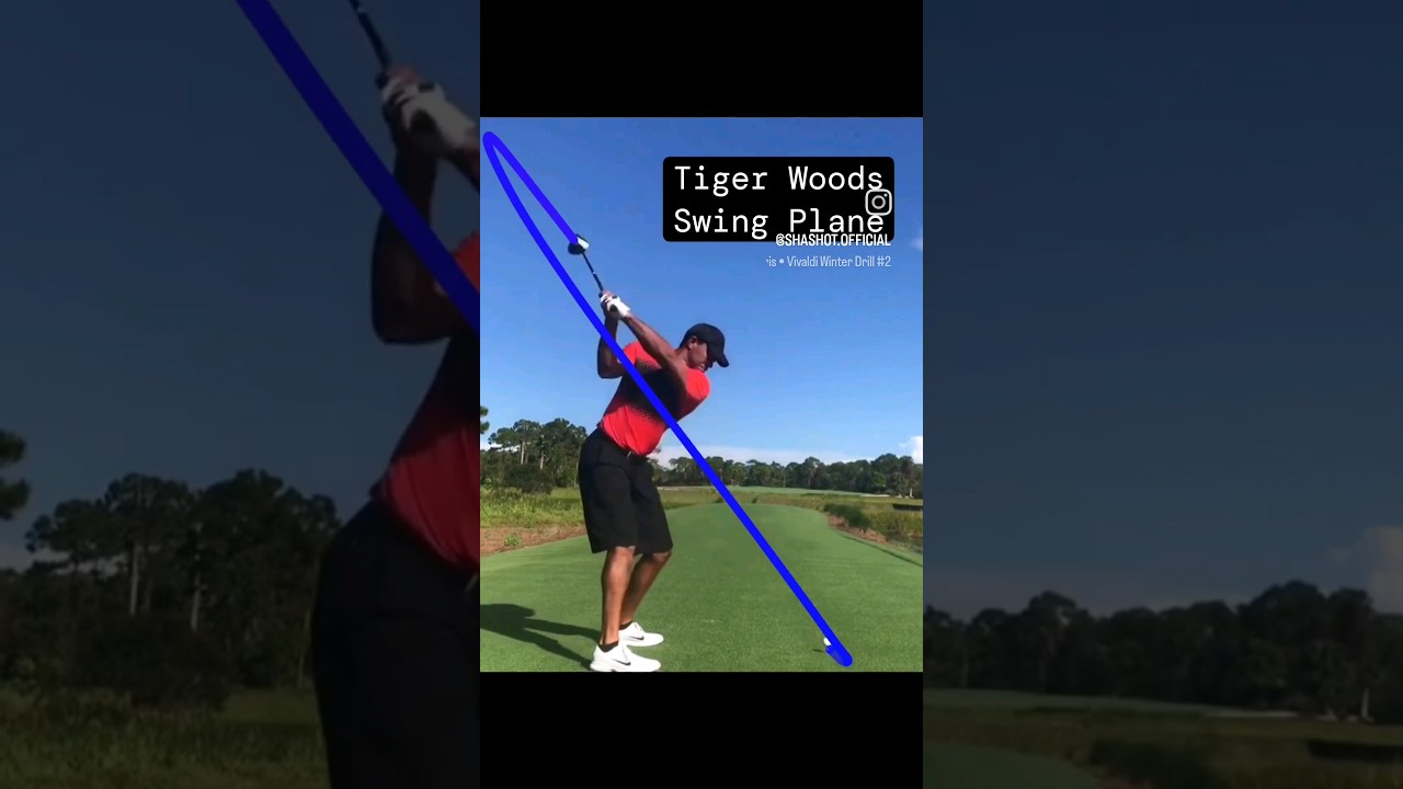 tigerwoods Swing Plane🤩 make it on shashot app #golf #골프 #golfswing #골프스윙 #ゴルフスイング #ゴルフ #shashot