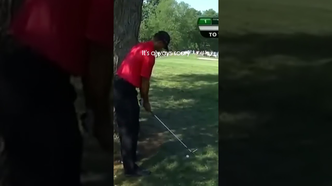 Tiger vs Tree! #shorts #golf #tigerwoods