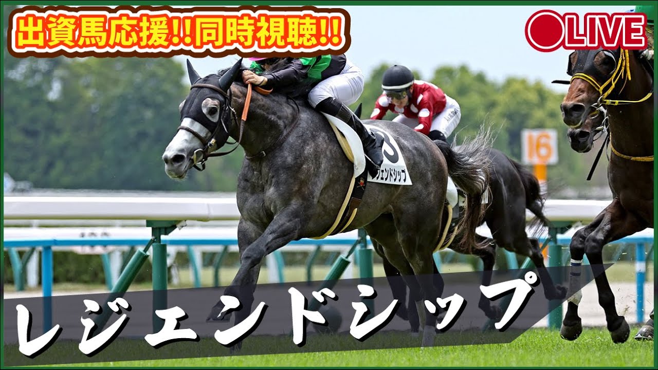 【 #レジェンドシップ 】出資馬全力応援ライブ配信 ！京都８R_ダート1800m！今日こそ真面目に走って(笑)デムーロさん頼む！目指せ馬券内！ #推し活最高