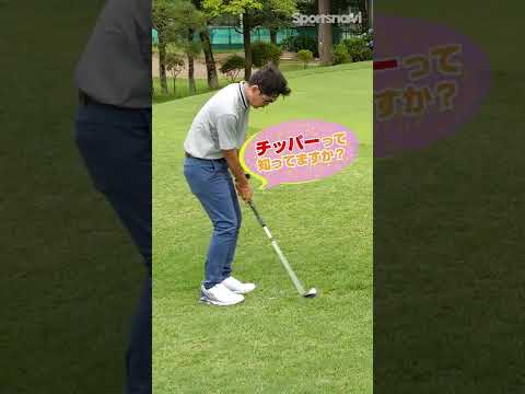 チッパーって知ってる？小倉さんが解説！ #shorts