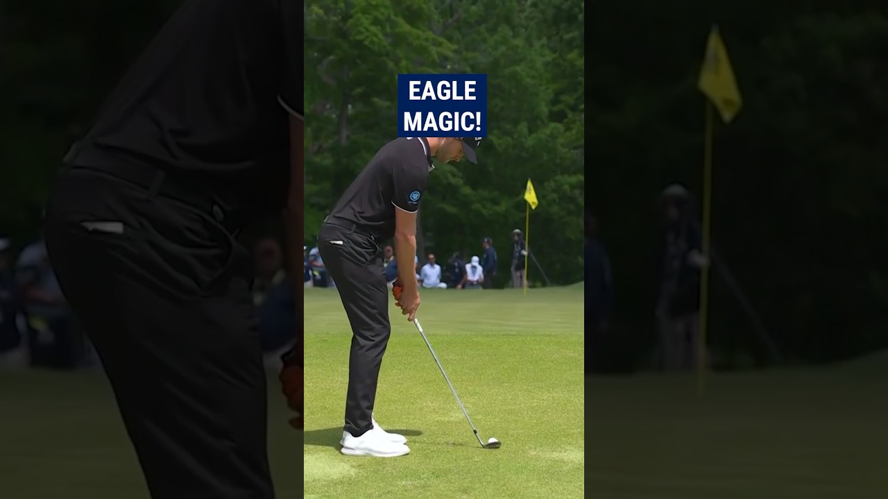 OUTRAGEOUS chip-in for eagle! 😱