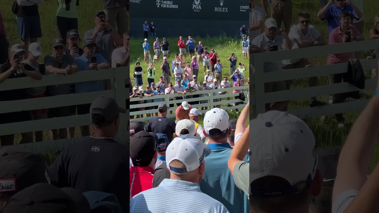 Tiger drives will never get old #golfswing #tigerwoods #valhalla #pgachamp