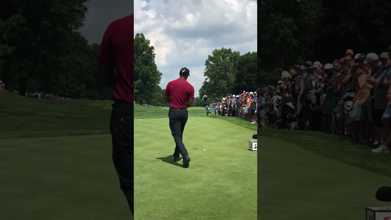 Golf Swing Tiger Woods #shorts #golf #sports