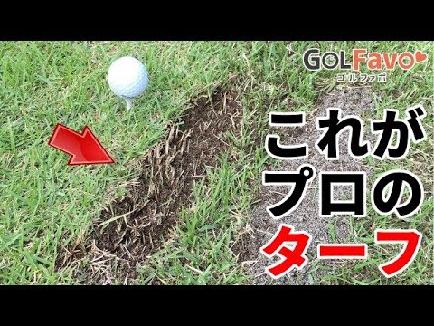 芝から練習する時のポイントと目土の注意点【ゴルファボ】