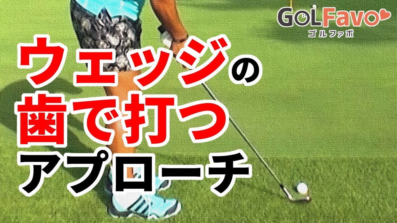 グリーン周りアプローチ攻略法！ウェッジの歯で打つ【ゴルファボ】
