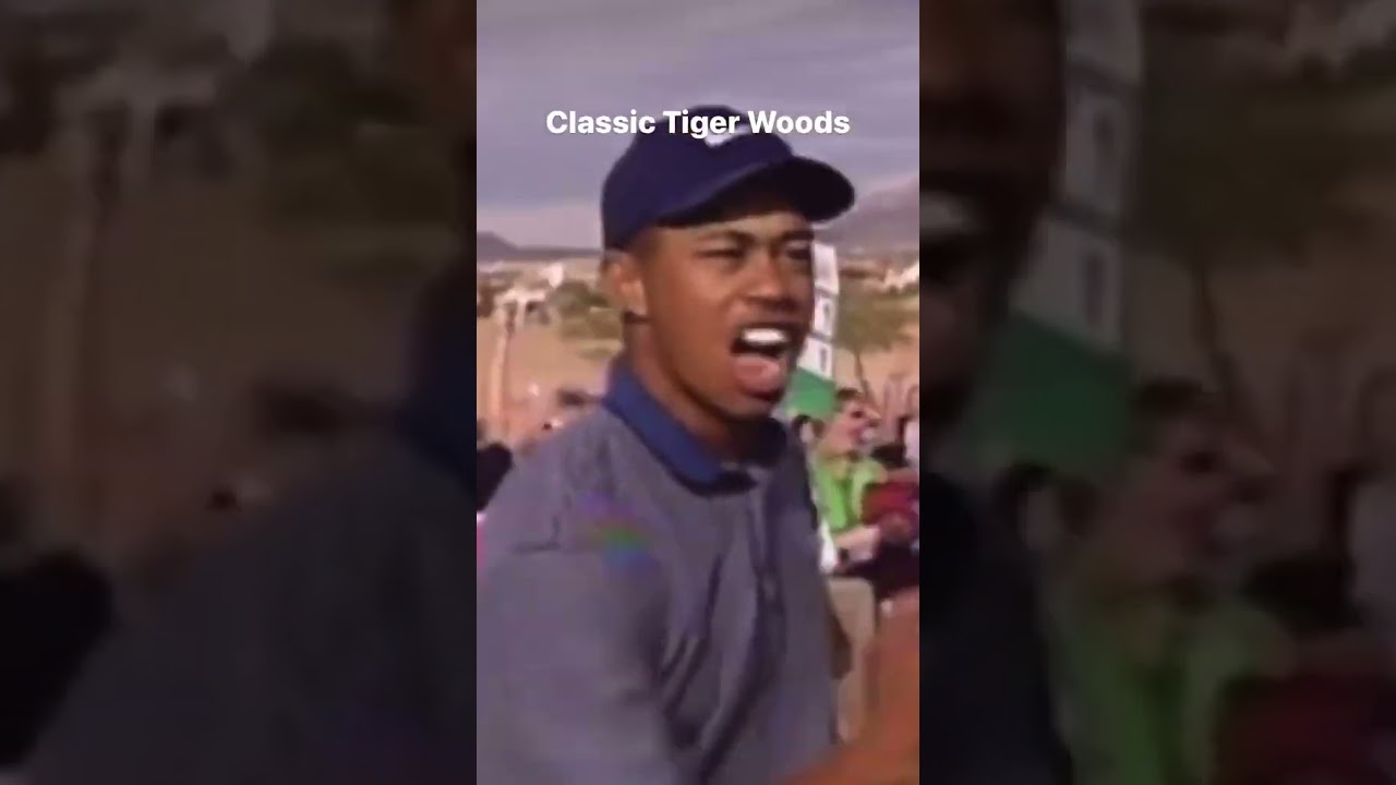 Tiger Woods Golf Swin