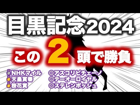 目黒記念2024 予想　長距離G2に共通点あり！ハンデ戦で実績馬も危うい！？東大生の予想