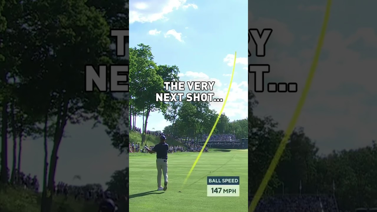 Just your average birdie.