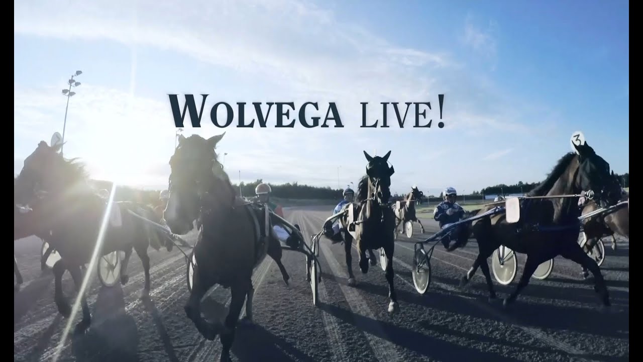 Wolvega Live! | Uitzending (integraal) van 25/05/2024