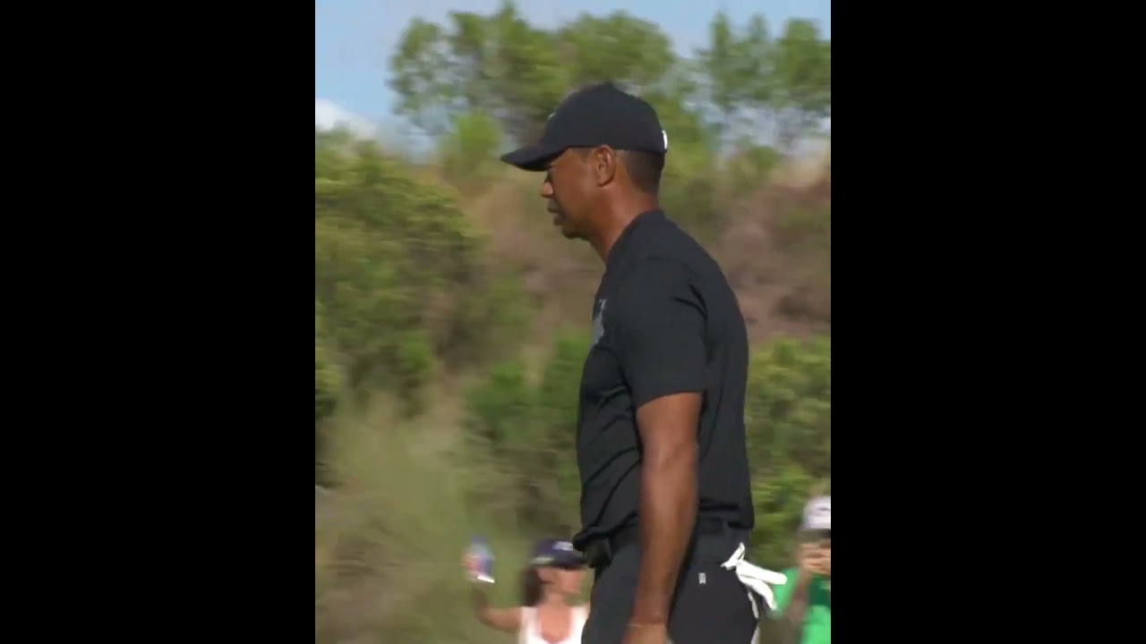 Sunday Tiger #tigerwoods #sundayred