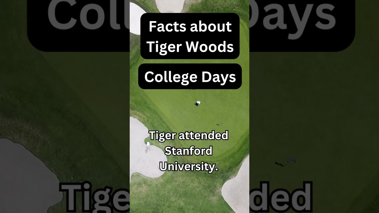 Facts about Tiger Woods @Shorts