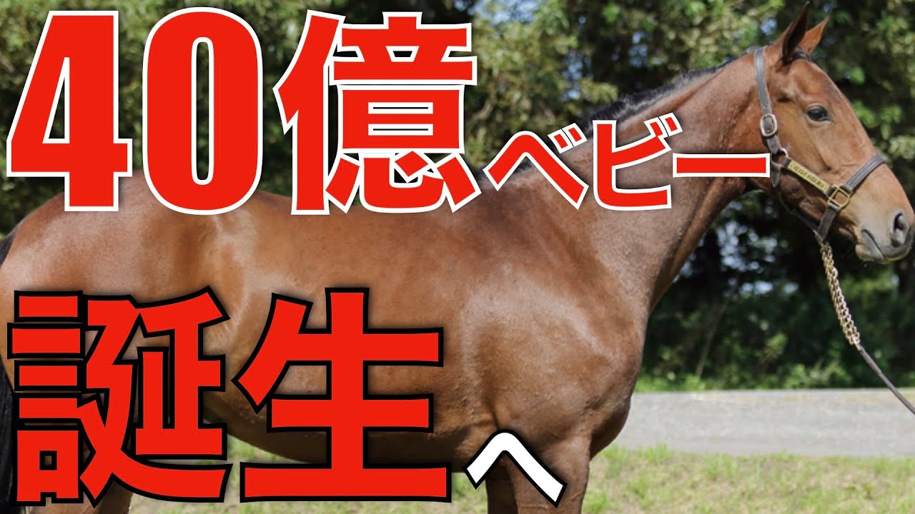 衝撃の40億円ベビー誕生へ！種牡馬イクイノックスの配合相手が凄すぎる。