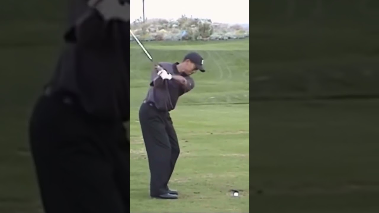 Prime Tiger Woods Stinger