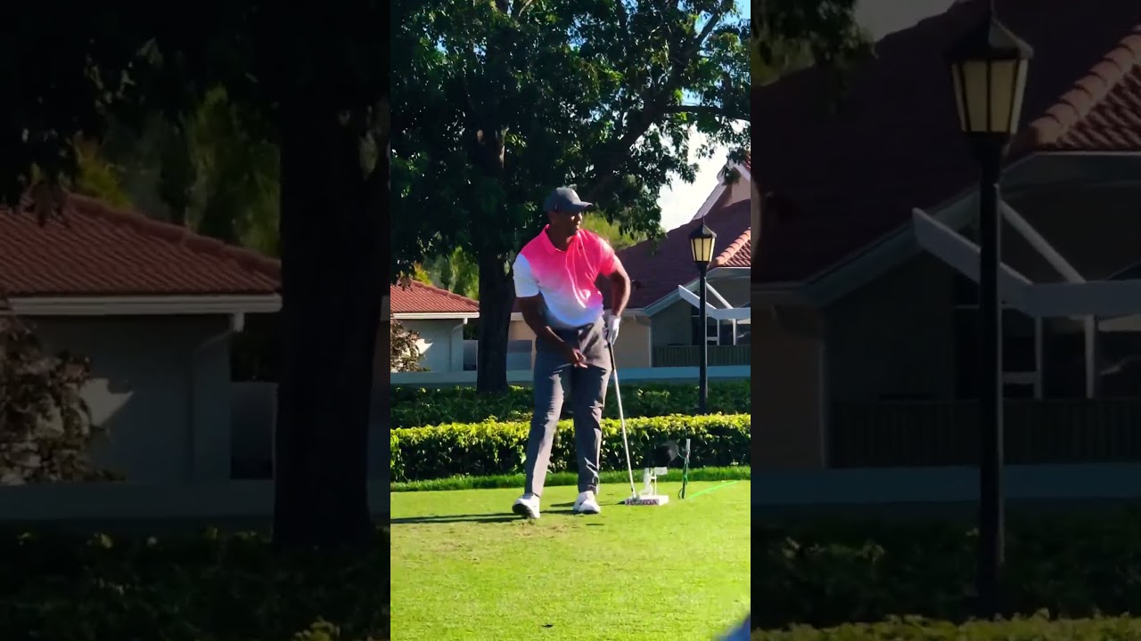 Tiger Woods Stinger FO