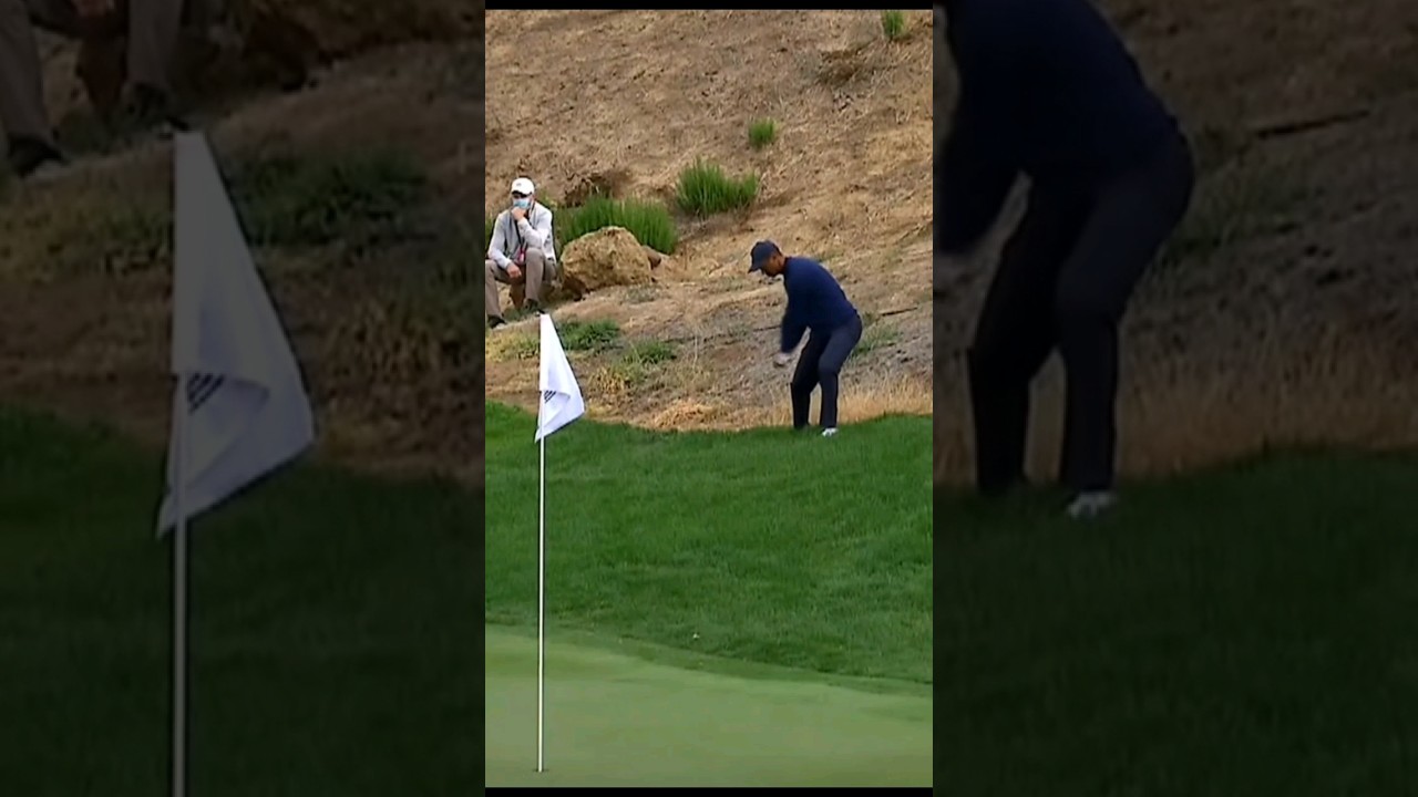 流石タイガー #golf #golfshorts #ゴルフ #golfswing #golfskill #pga #ゴルフスイング #golfer #pgatour