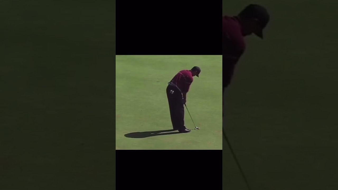 Tiger Woods Golf Swing