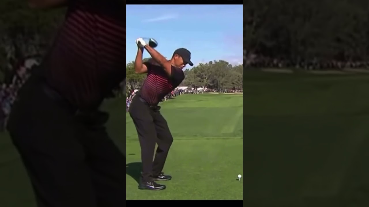 Tiger woods driver swing down the line #golfswing #tigerwoods