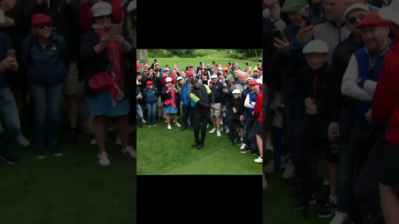 Who can be mad at a couple of pure shots from ole Tiger?  #golf #golfmemes #golfer #pga #golfswing