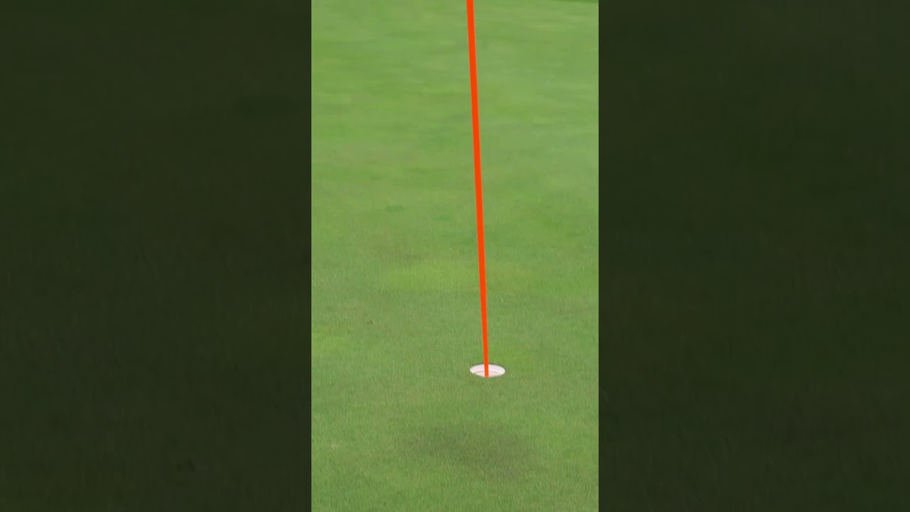 撮るから入れてねって言った結果がこちら