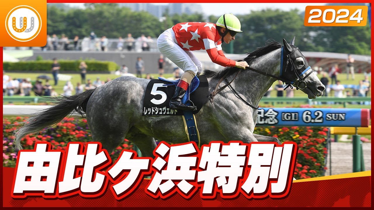 【レース映像】由比ヶ浜特別 レッドシュヴェルト｜ウイニング競馬 2024