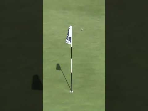 What. A. Shot. 👀 #golf #livgolf #scottvincent