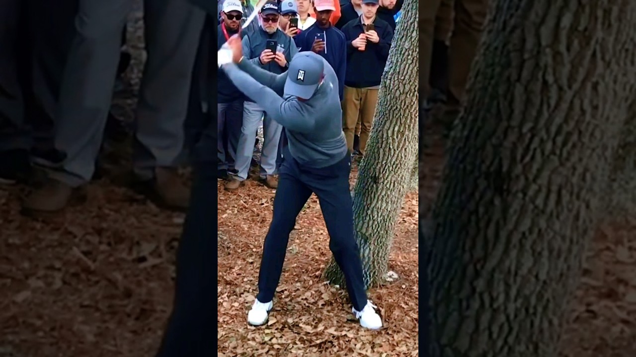 流石タイガー #golf #golfshorts #golfswing #ゴルフ #pga #golfskill #golfer #ゴルフスイング