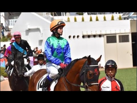 枠連投資馬券塾　#安田記念２０２４　#安田記念レース回顧　#枠連投資日曜日のおさらい