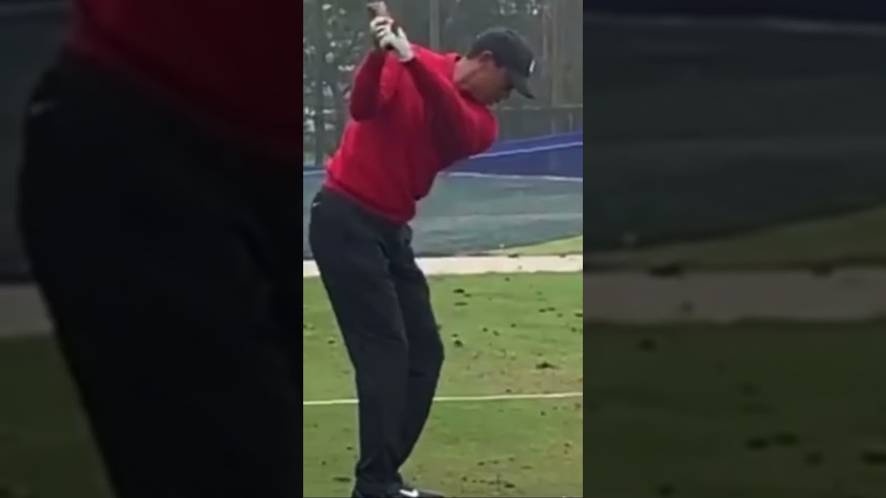 Tiger Woods Iron Swing