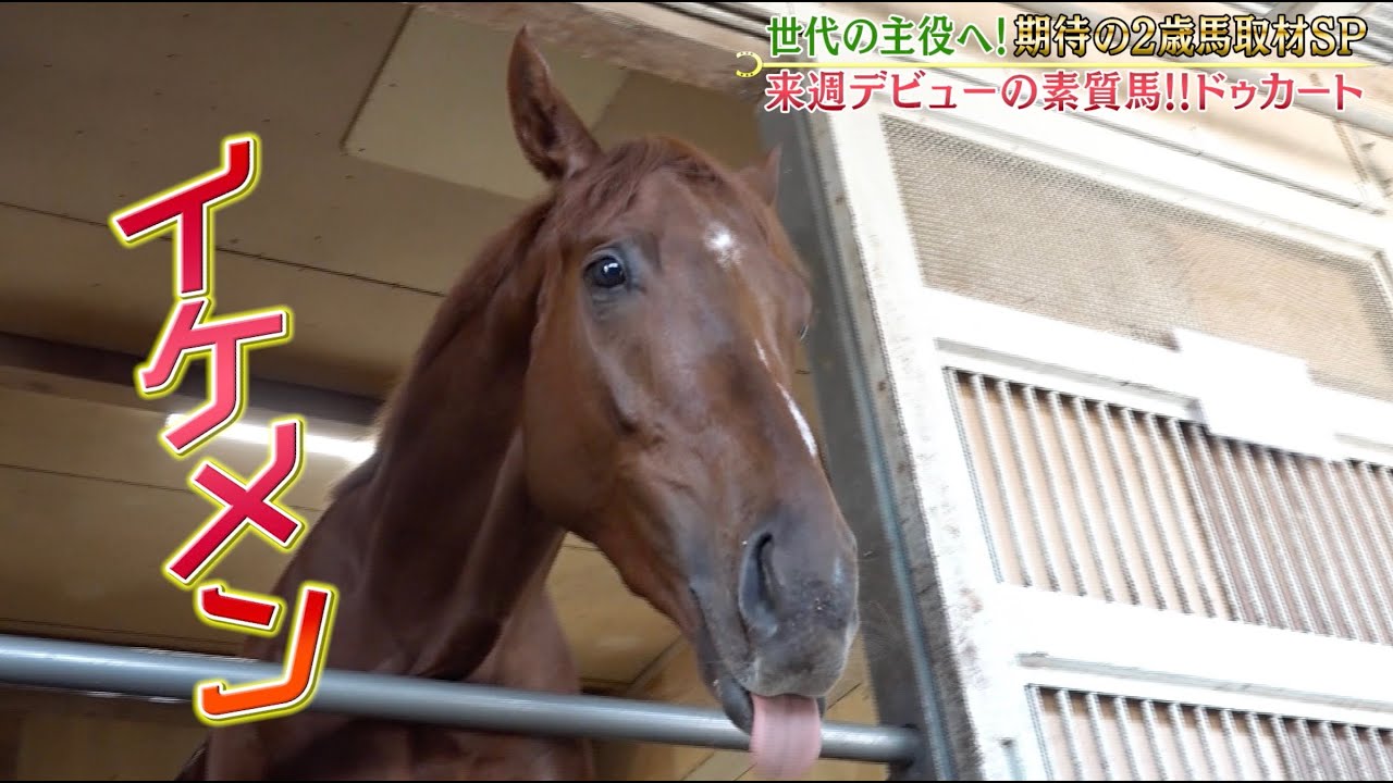 世代の主役へ！期待の2歳馬取材SP！