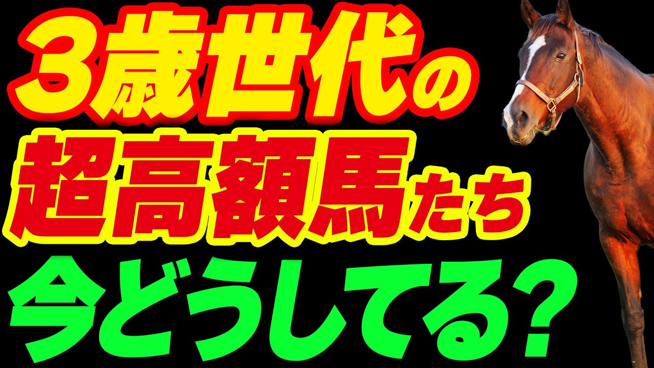 3歳世代の超高額馬たち、今どうしてる？