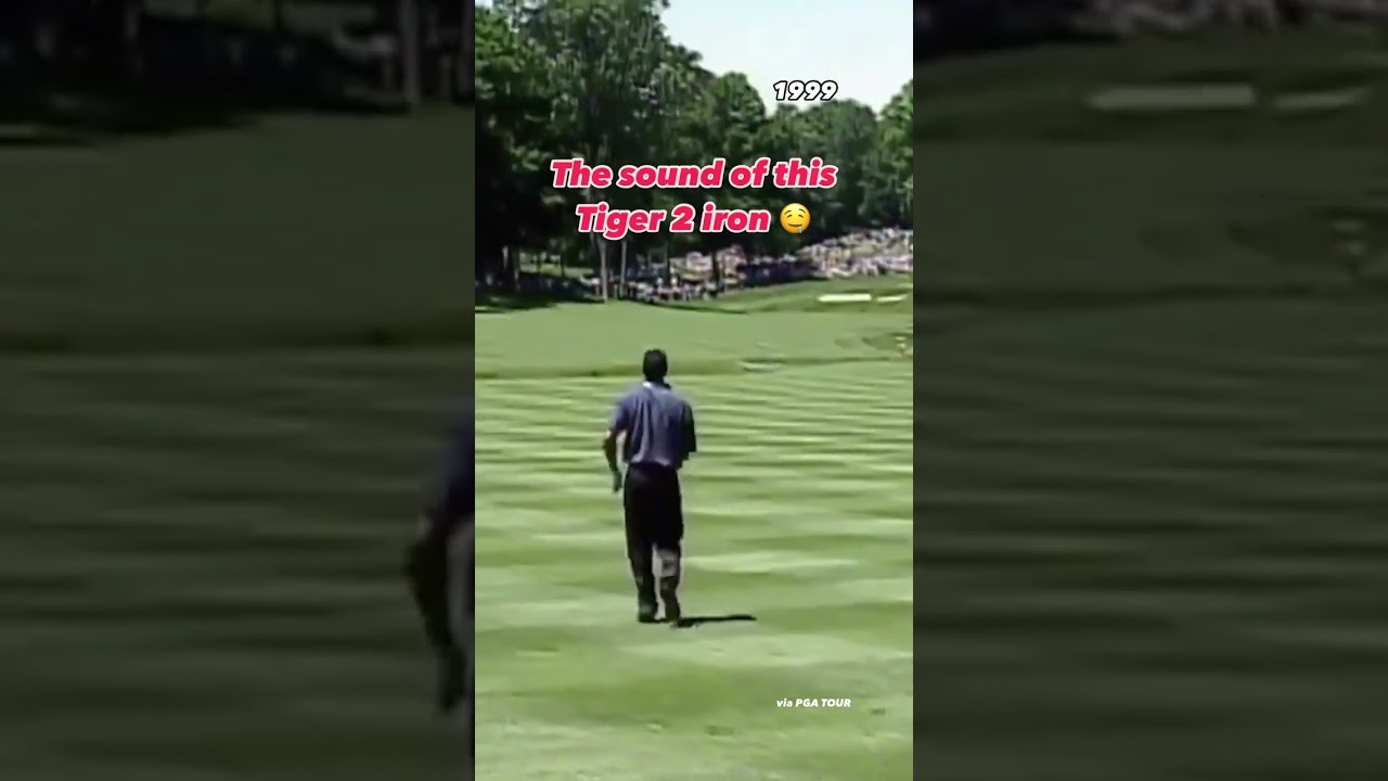 Absolutely flushed it