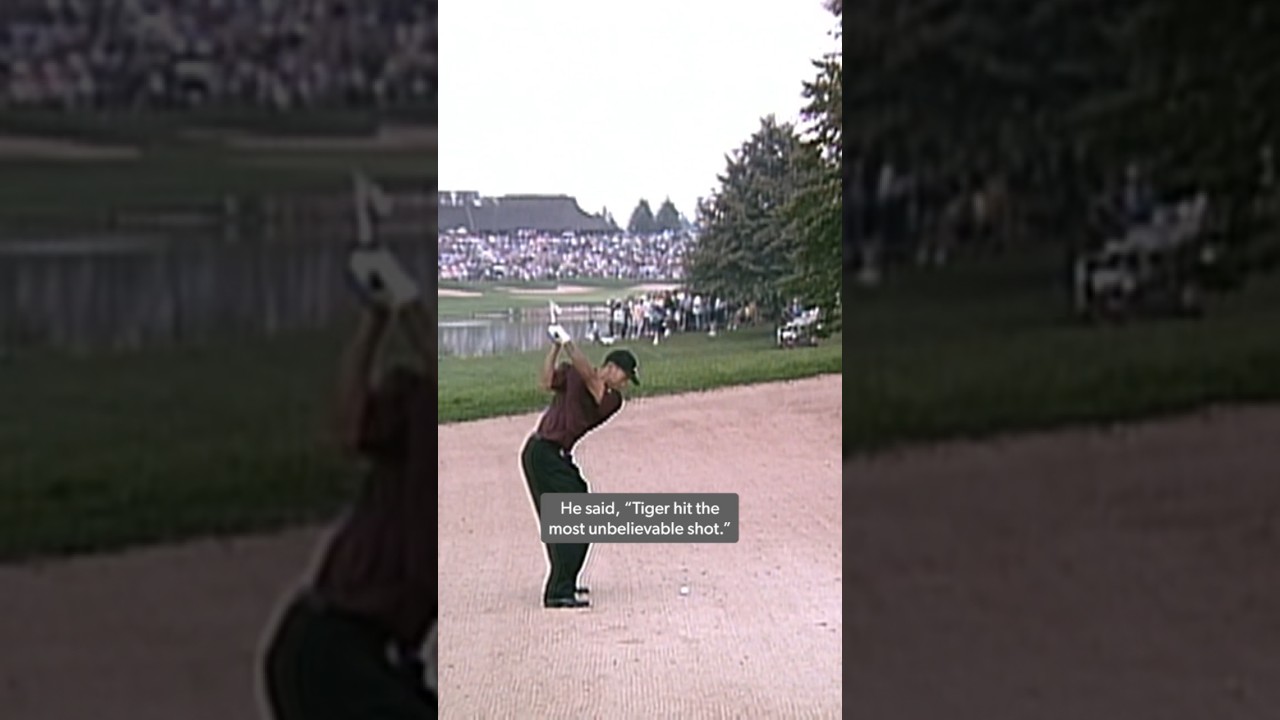 Is this Tiger's BEST shot ever? 🐅