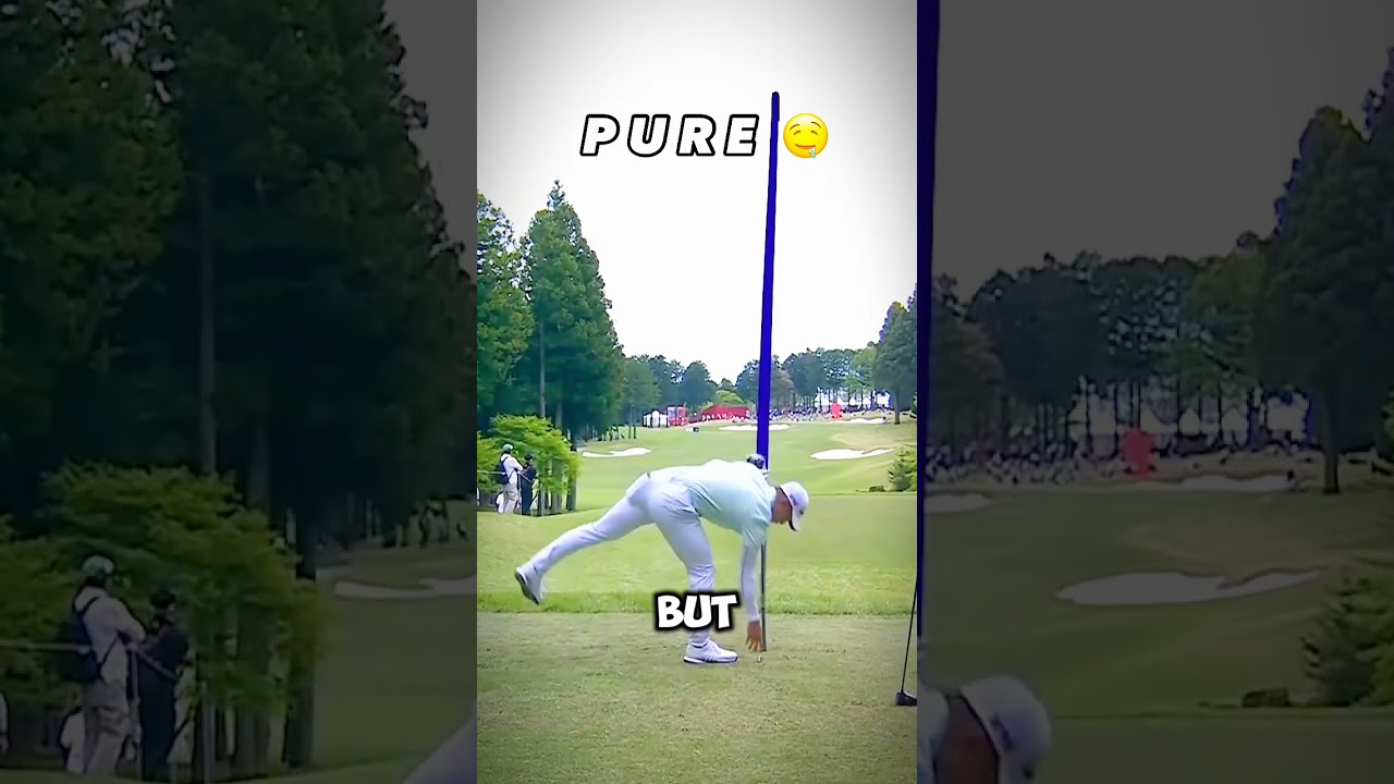 who's got most wins in golf ⛳