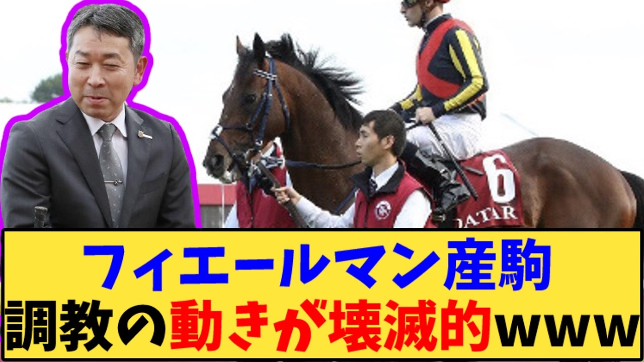 【競馬】「フィエールマン産駒 調教の動きがヤバいwww」に対する反応【反応集】