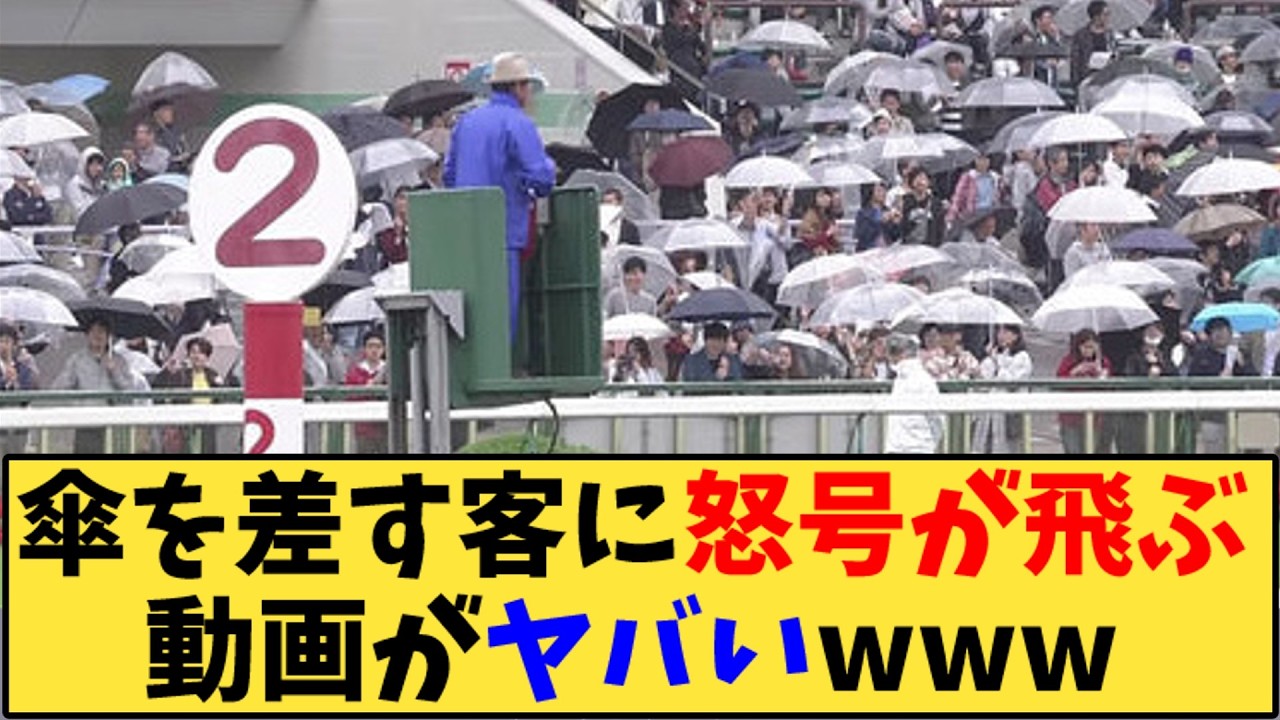 【競馬】「傘を差す客に怒号が飛ぶ動画がヤバいwww」に対する反応【反応集】