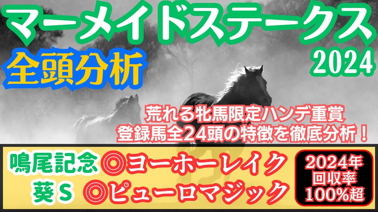 【マーメイドS2024】この動画1つで全馬の特徴が丸わかり！荒れるレースで全頭にチャンスあり！？全24頭を徹底分析！【全頭分析】