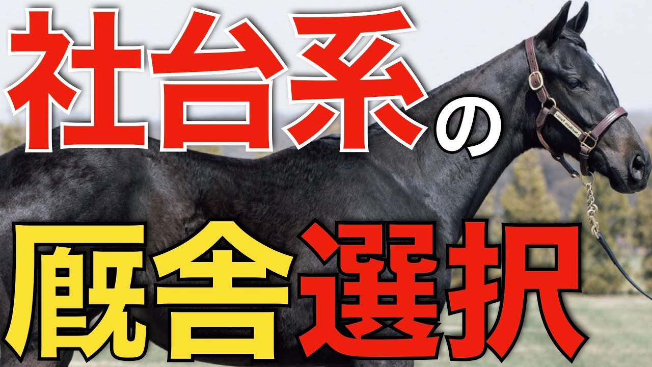 社台系牧場が最も評価する調教師とは？意外な大量預託先が明らかに。